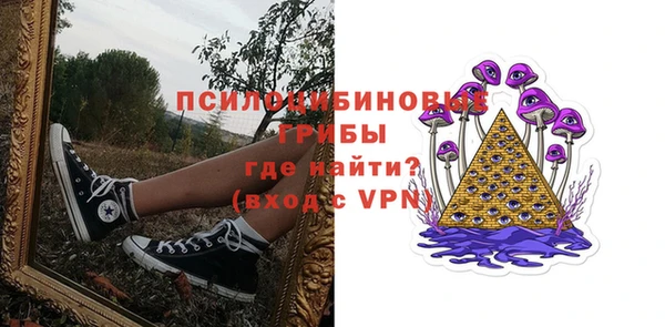 прущие крисы Новодвинск