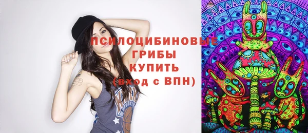 mdma Новозыбков