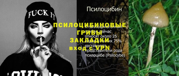 ПСИЛОЦИБИНОВЫЕ ГРИБЫ Новокубанск