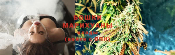 mdma Новозыбков