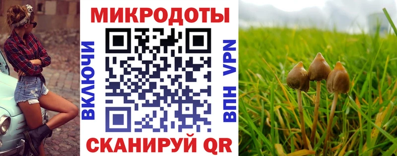 Галлюциногенные грибы GOLDEN TEACHER  Каменка 