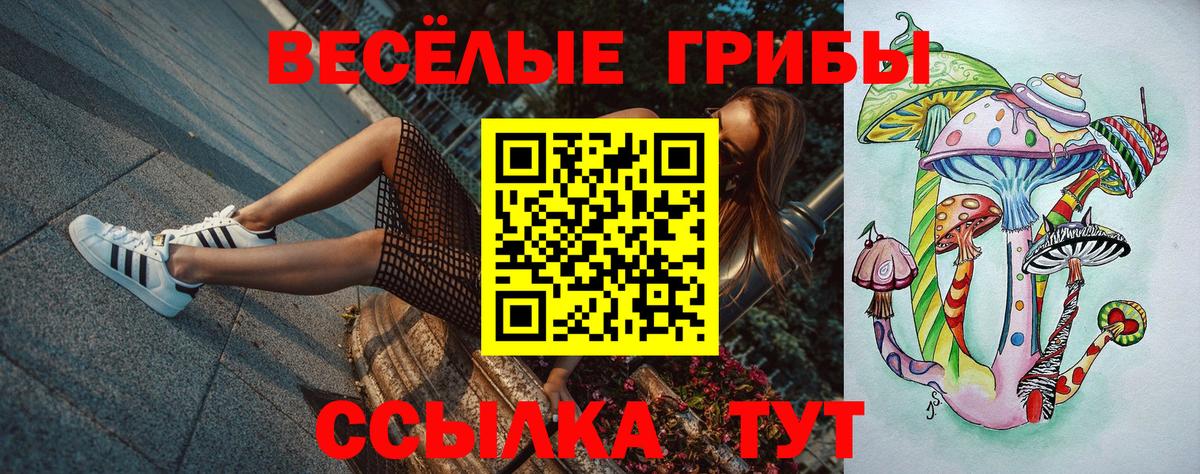 Псилоцибиновые грибы MAGIC MUSHROOMS Каменка