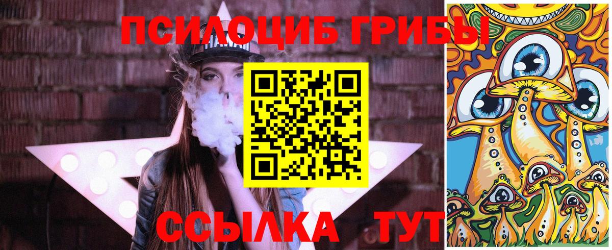 Галлюциногенные грибы Cubensis Каменка