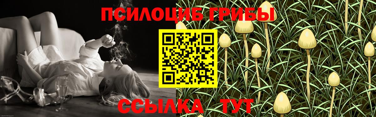 Псилоцибиновые грибы MAGIC MUSHROOMS  Каменка 