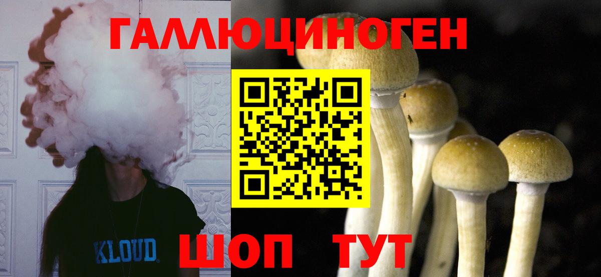 Каменка  Галлюциногенные грибы Psilocybine cubensis  Вход с VPN 